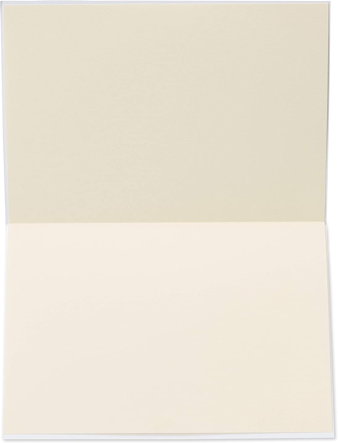 Papyrus Blank Congratulations Card (Congratulations)