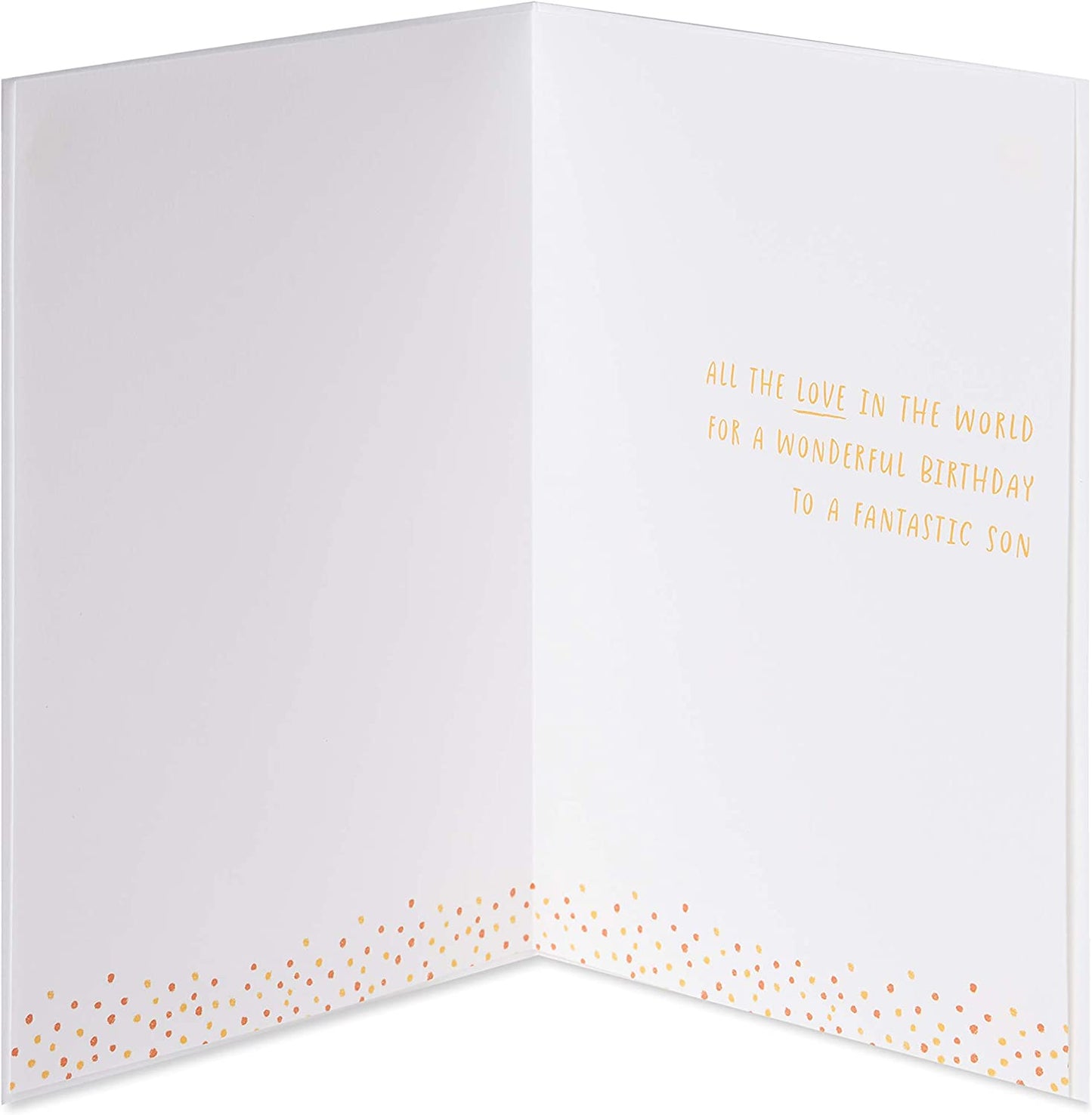 Papyrus Birthday Card for Son (All the Love In the World)