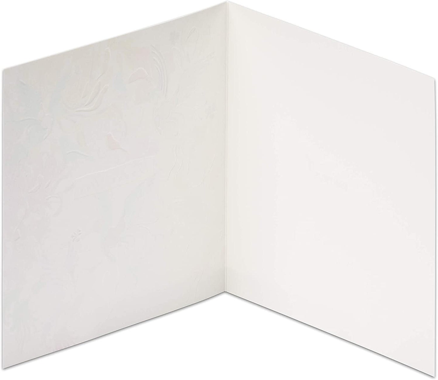Papyrus Blank Thank You Card (Hummingbirds)