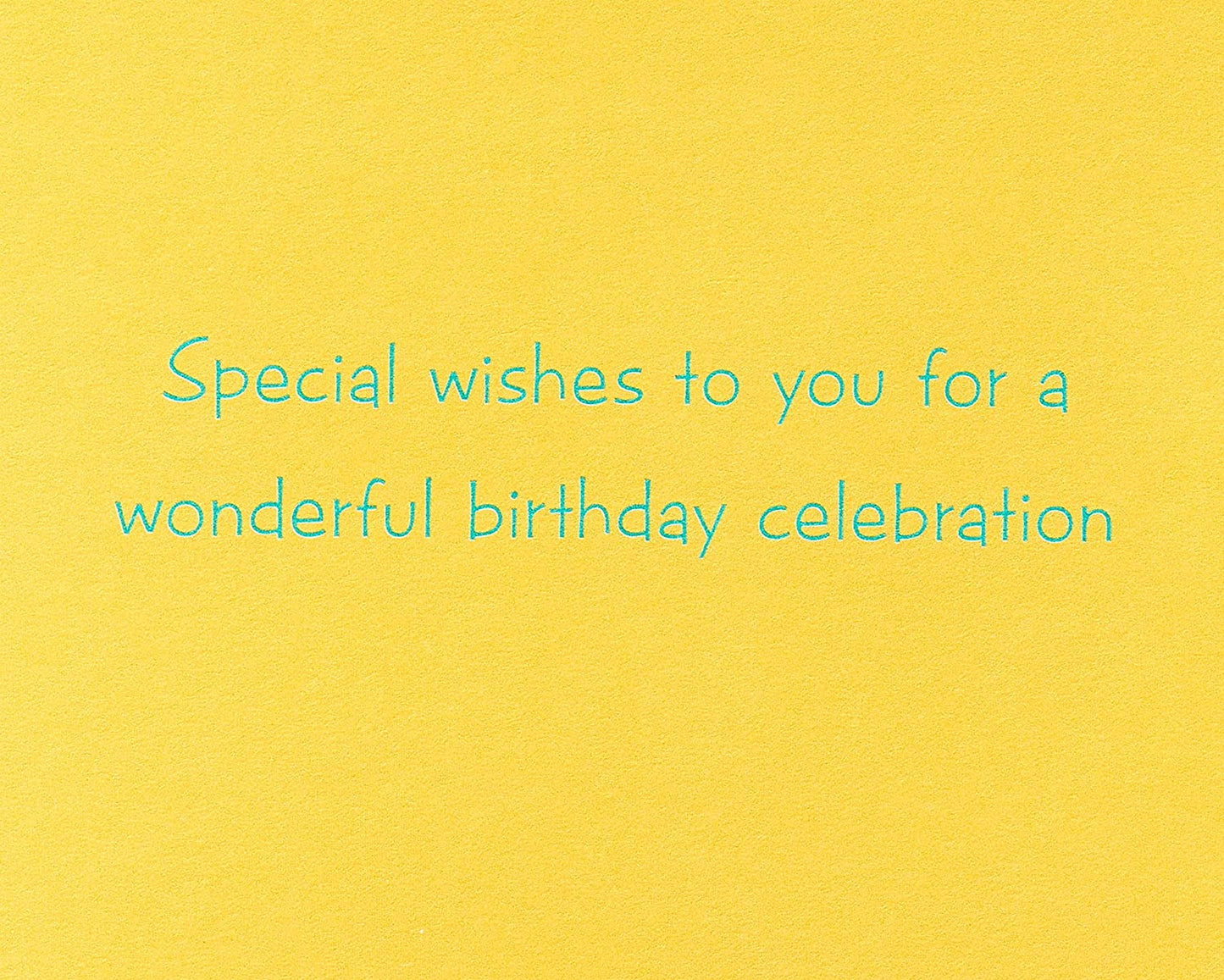 Papyrus Birthday Card (Wonderful Birthday Celebration)