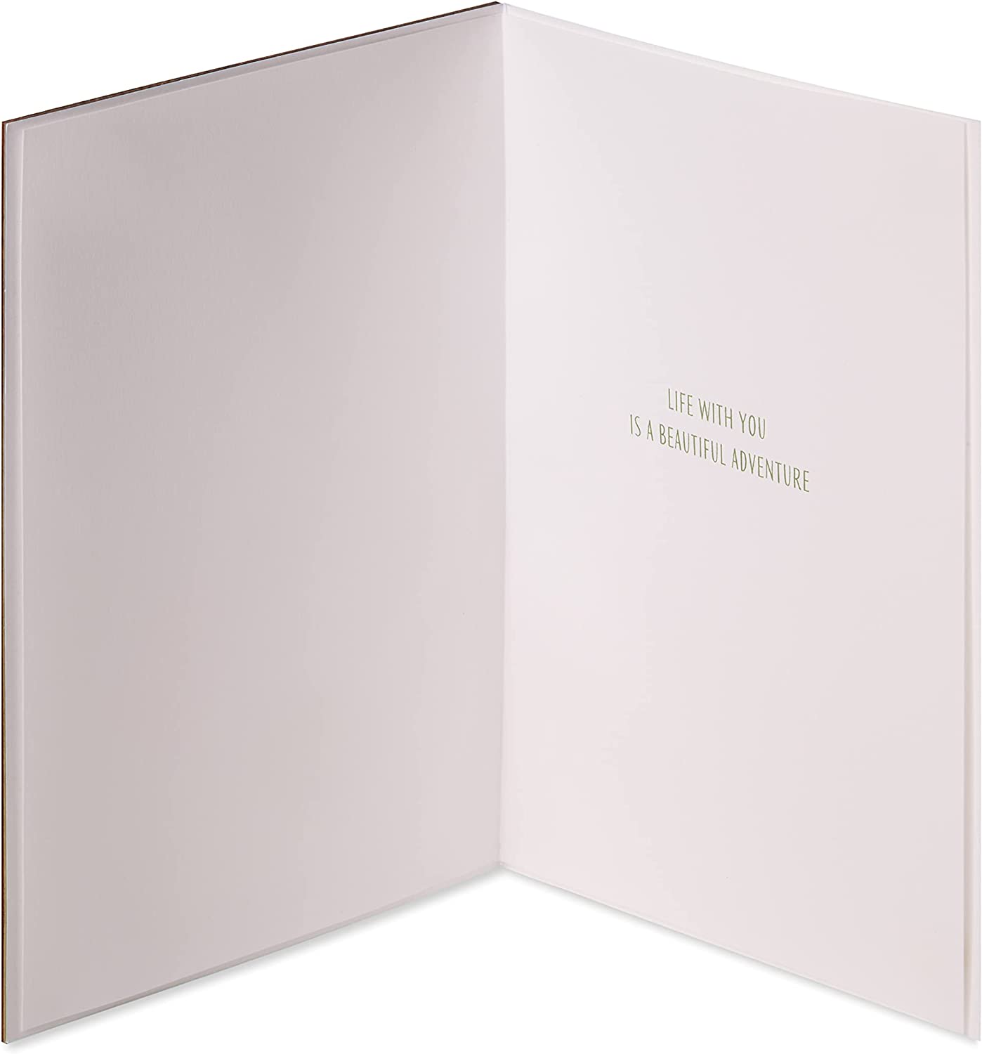 Papyrus Romantic Card for Sweetest Day, Husband, Wife, Boyfriend, Girlfriend or Significant Other (Beautiful Adventure)
