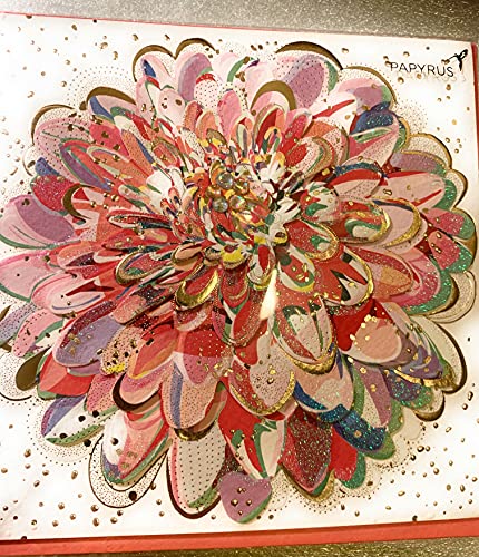 Papyrus Conventional Birthday Card, 1 EA