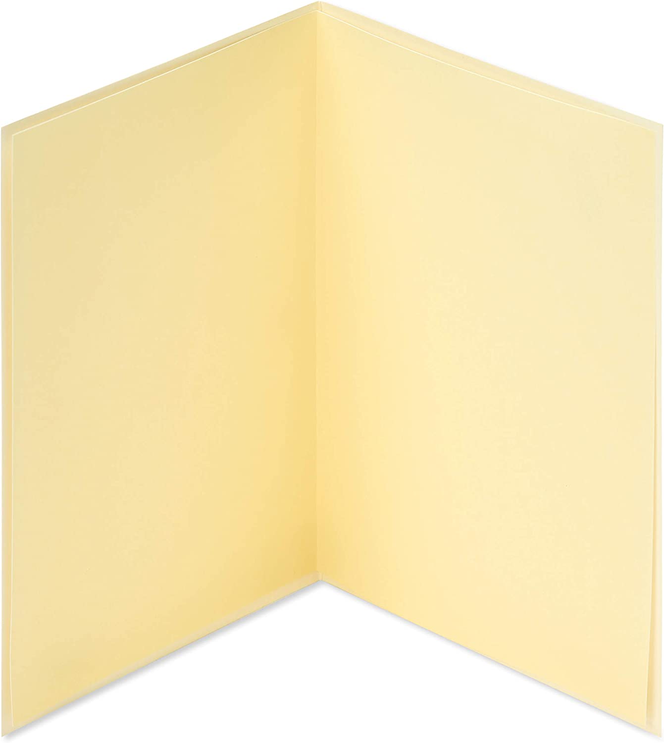 Papyrus Blank Card (Flowers)