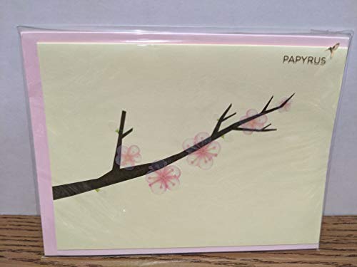 Papyrus Everyday Blank Card, 1 Each
