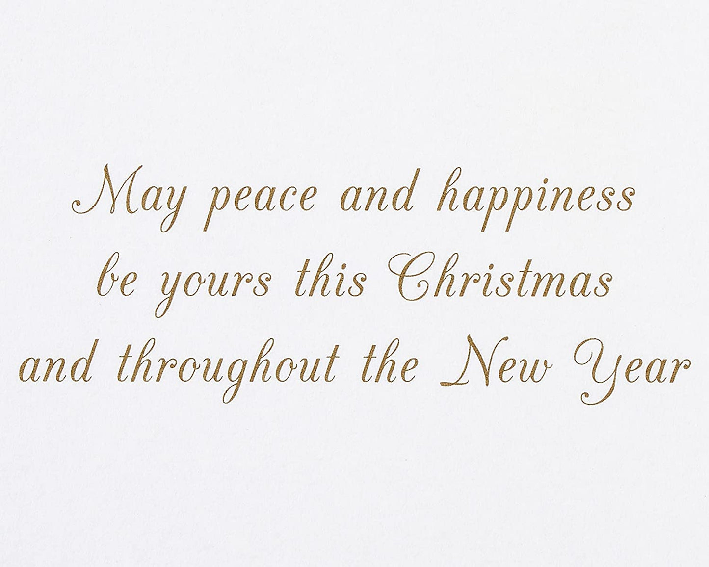 Papyrus Christmas Cards Boxed with Envelopes, Peace and Happiness, Glitter-Free Snowbird (20-Count)