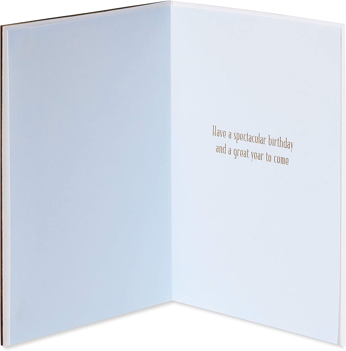 Papyrus Birthday Card for Him (Spectacular Birthday)