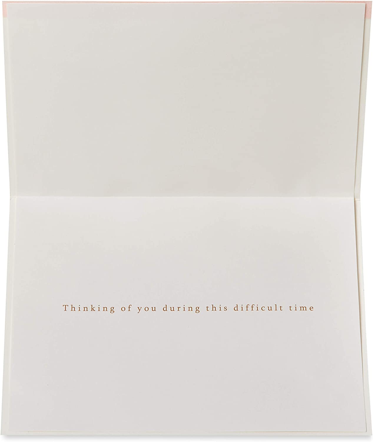 Papyrus Sympathy Card (Thinking Of You)
