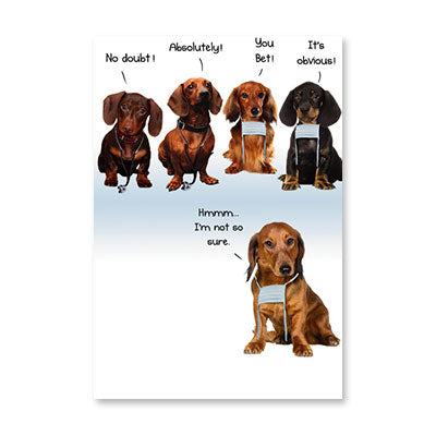 DACHS BIRTHDAY CARD BY RPG
