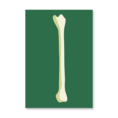 HUMERUS BONE CARD BIRTHDAY CARD BY RPG