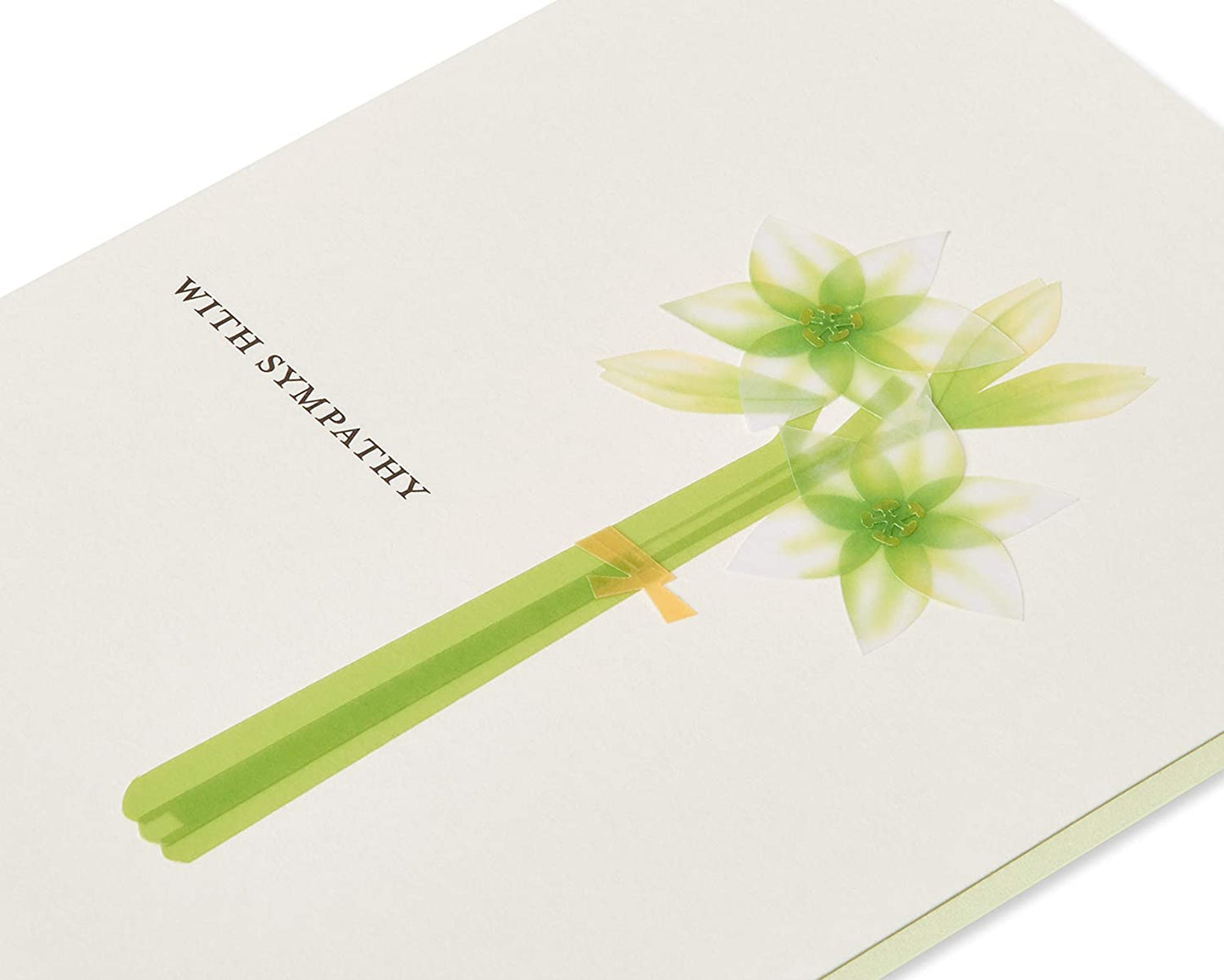 Papyrus Sympathy Card (Comfort and Support)