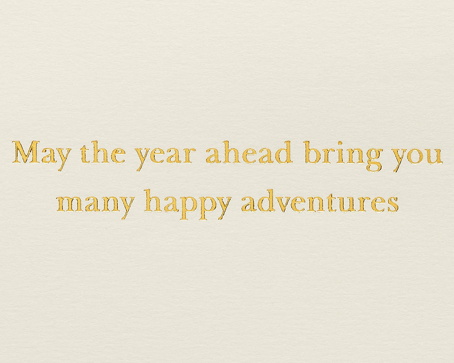 Papyrus Birthday Card for Him (Happy Adventures)