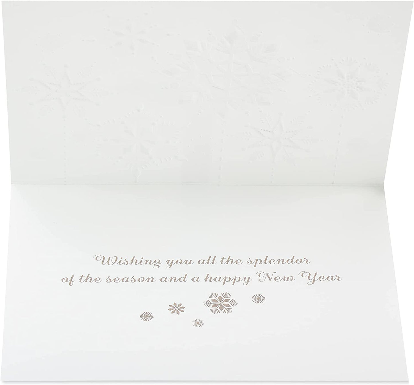 Papyrus Holiday Cards Boxed with Envelopes, Splendor of the Season, Glitter-Free Snowflakes (12-Count)