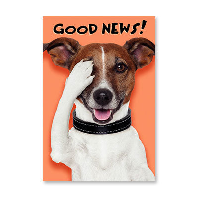 DOGS PAW COVERING ONE EYE BIRTHDAY CARD BY RPG