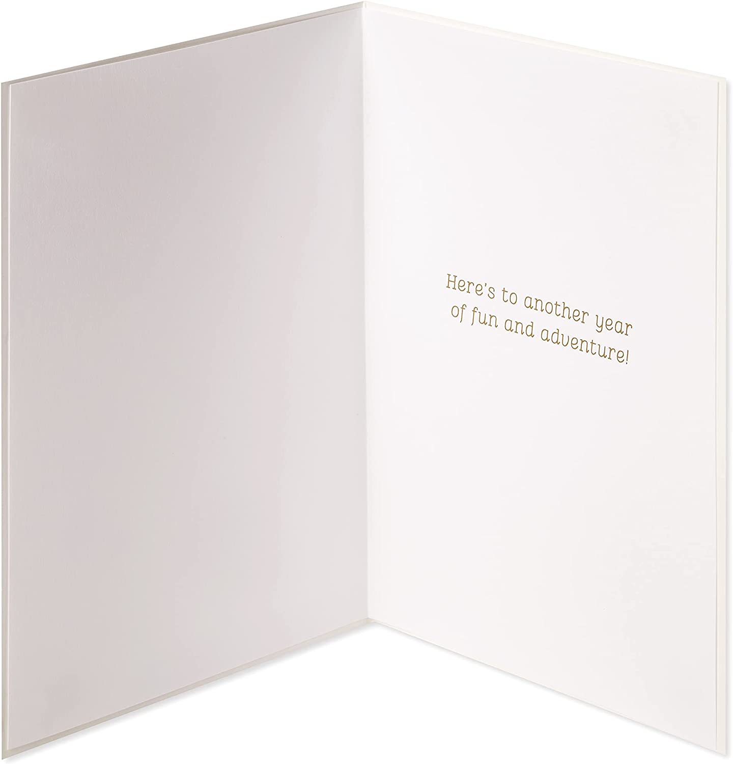 Papyrus Anniversary Card - Designed by House of Turnowsky (Another Year of Fun)