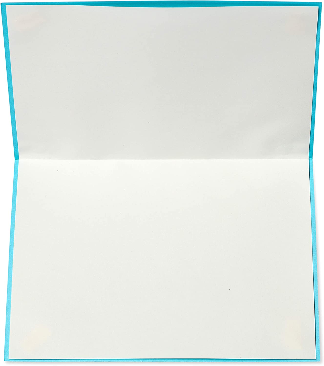 Papyrus Blank Thank You Card (Thank You Banner)