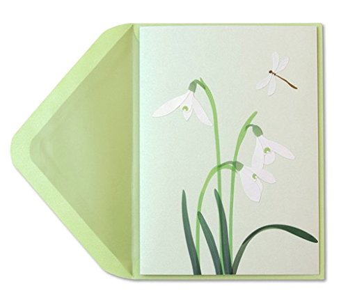 PAPYRUS Card Everyday, 1 EA