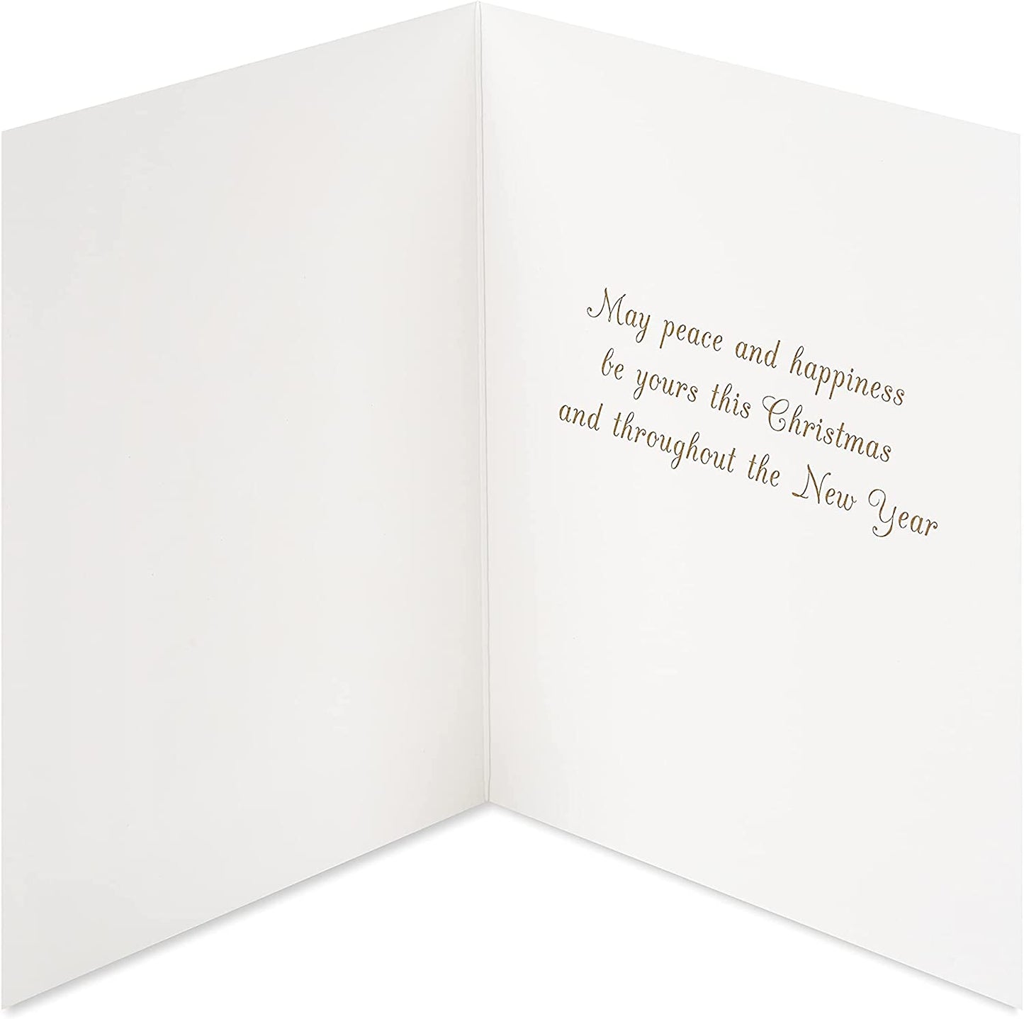 Papyrus Christmas Cards Boxed with Envelopes, Peace and Happiness, Glitter-Free Snowbird (20-Count)