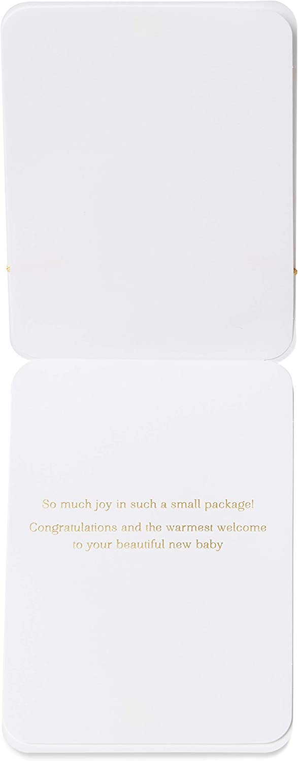 Papyrus New Baby Card (Warmest Welcome)