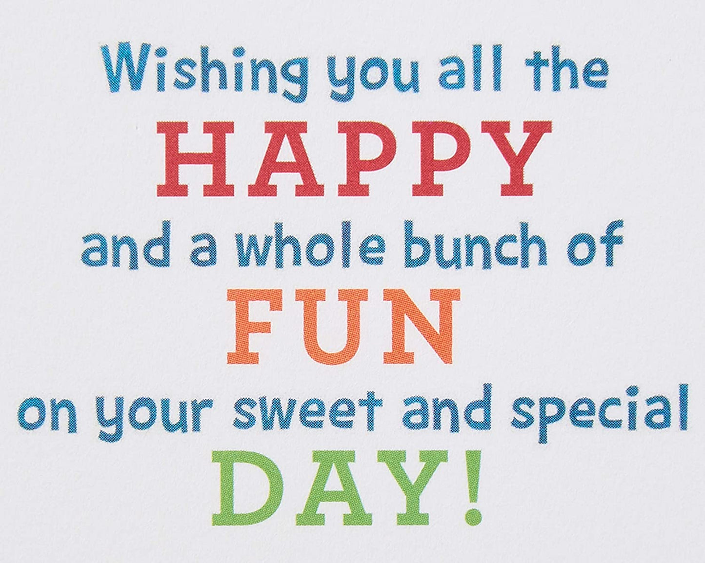 Papyrus Birthday Card for Kids (Whole Bunch of Fun)