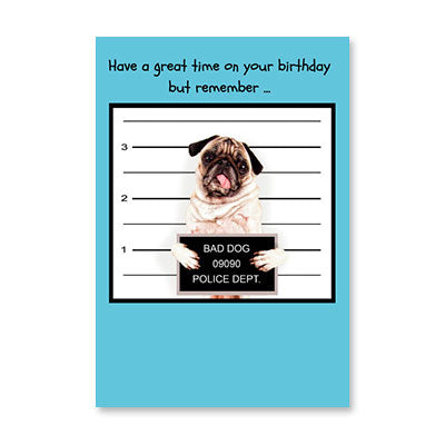 PUG MUGSHOT BIRTHDAY CARD BY RPG