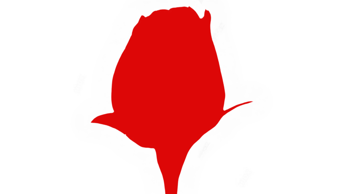 Customize Your Roses