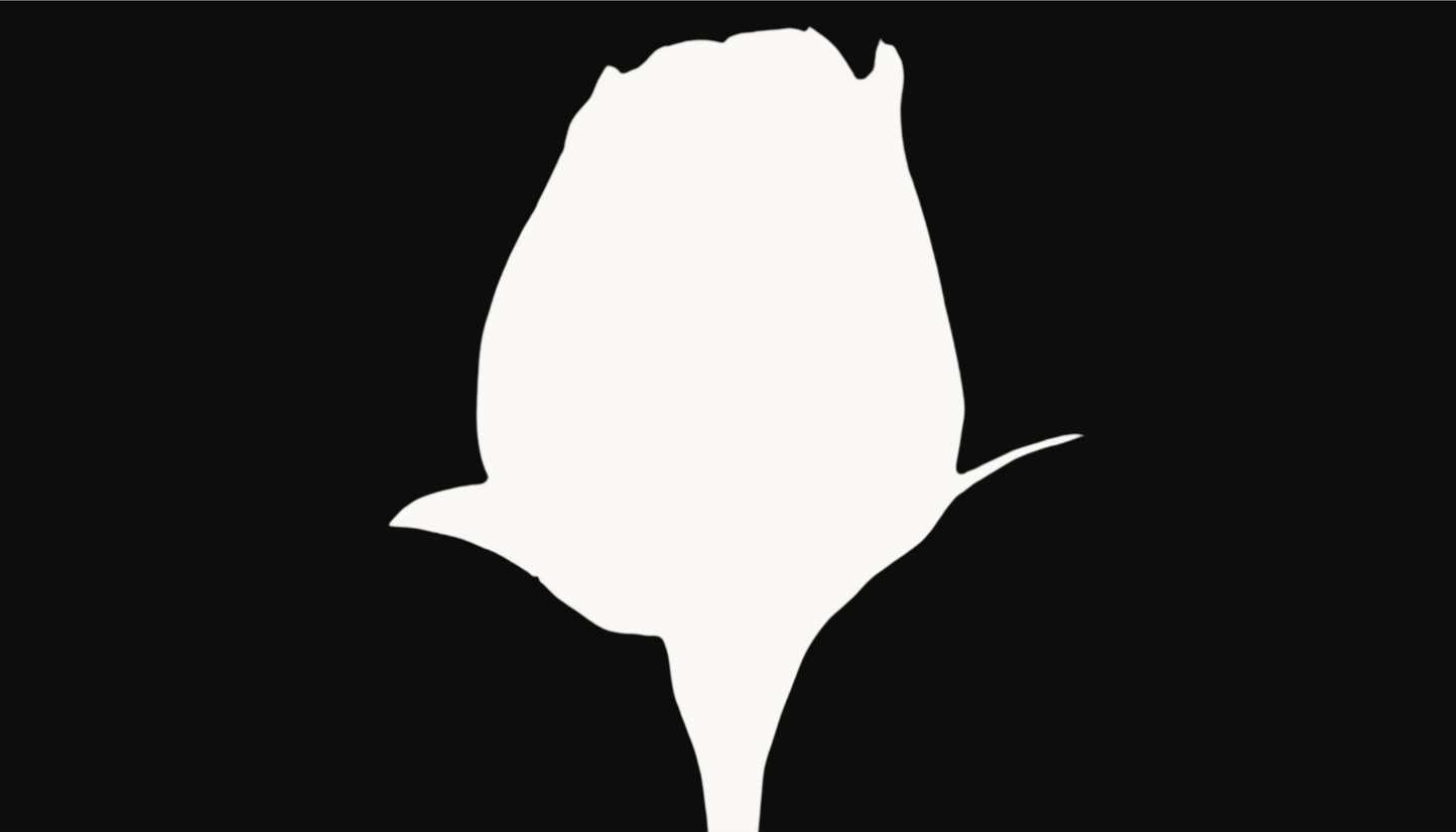 Customize Your Roses