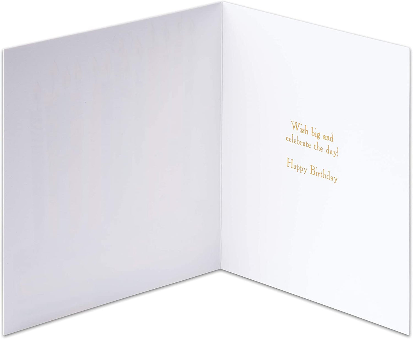 Papyrus Birthday Card (Wish Big)