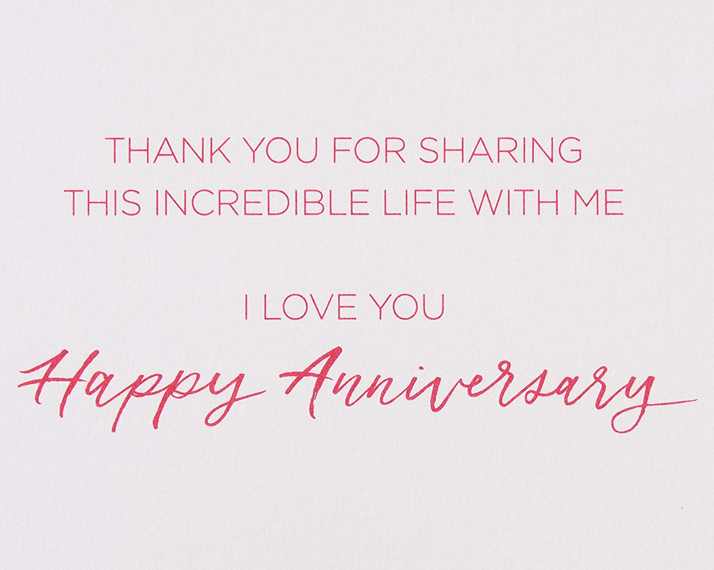 Papyrus Anniversary Card for Wife (This Incredible Life)