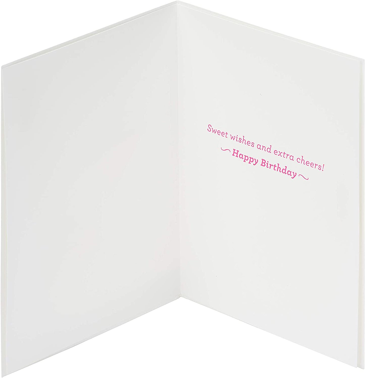 Papyrus Birthday Card - Designed By Bella Pilar (Extra Cheers)