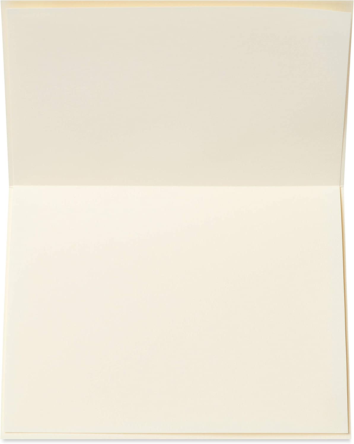 Papyrus Blank Thank You Card (Butterfly Gems)