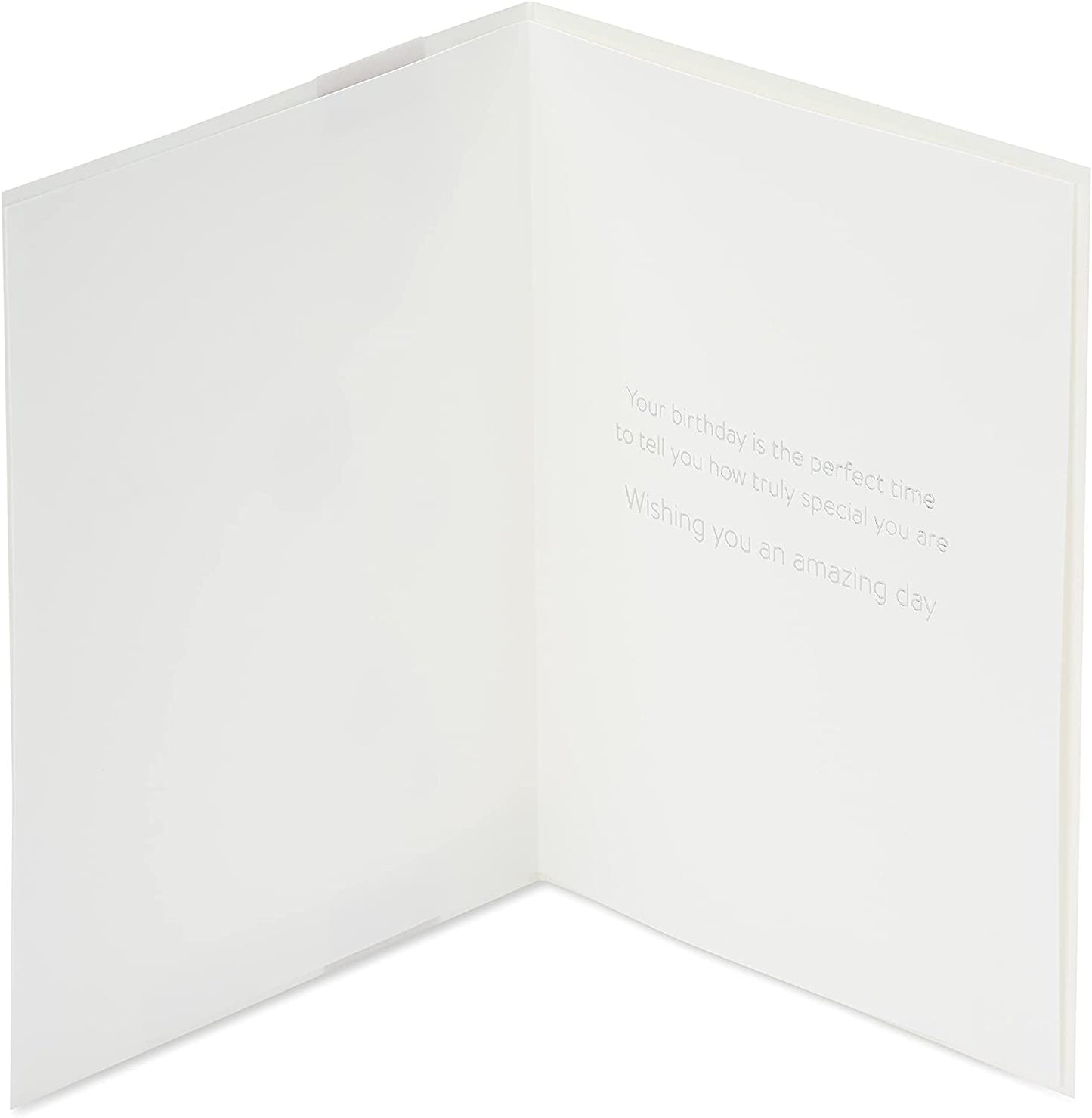 Papyrus Birthday Card (Truly Special)