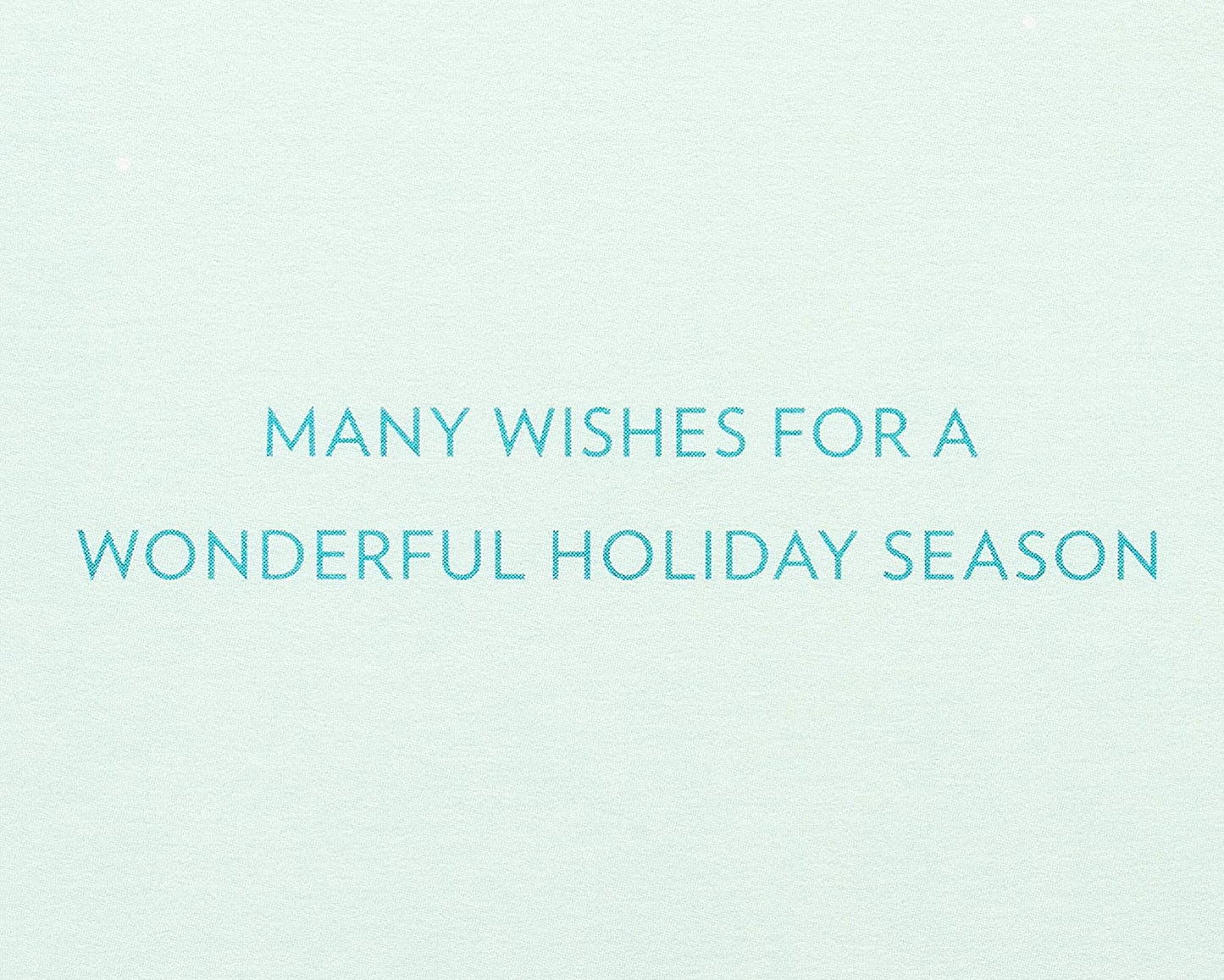 Papyrus Christmas Card (Many Wishes)