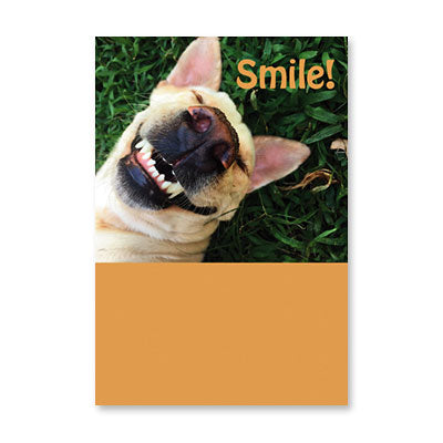 DOG IN GRASS SMILE BIRTHDAY CARD BY RPG