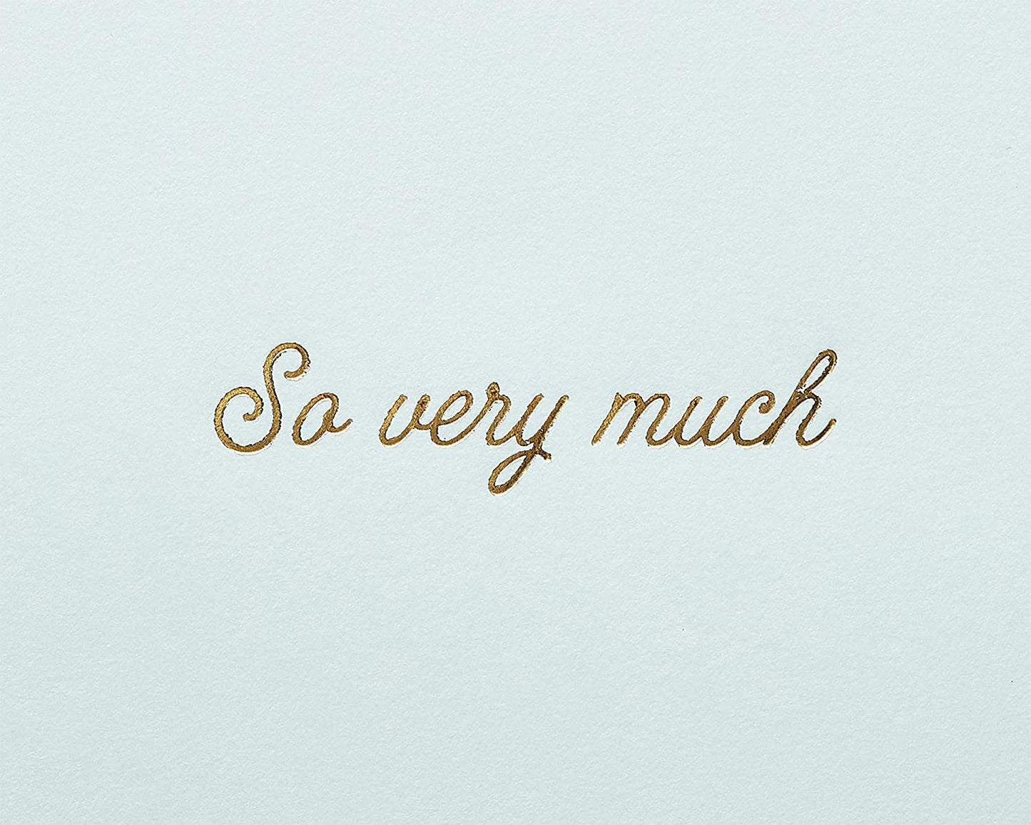 Papyrus Thank You Card (So Very Much)