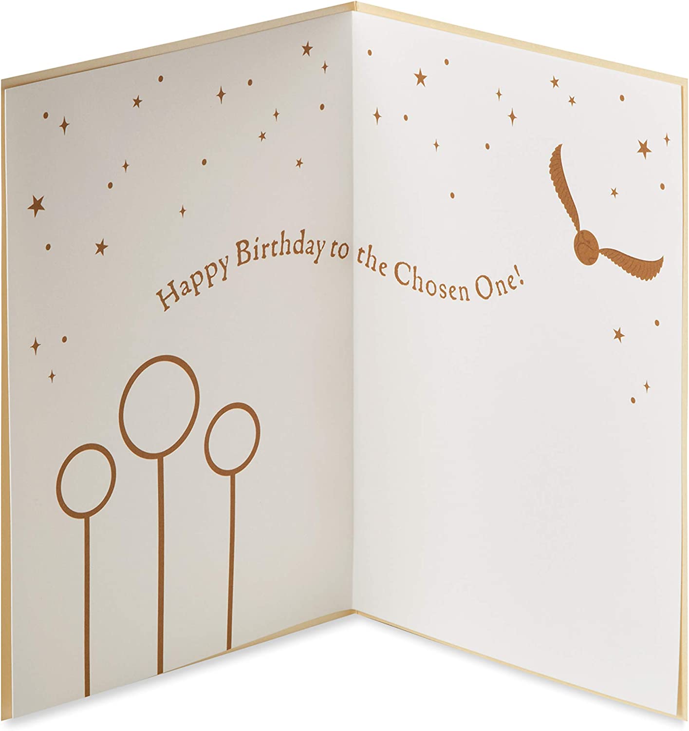 Papyrus Harry Potter Birthday Card (The Chosen One)