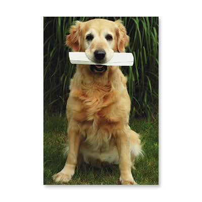 DOG BIRTH CERTIFICATE BIRTHDAY CARD BY RPG