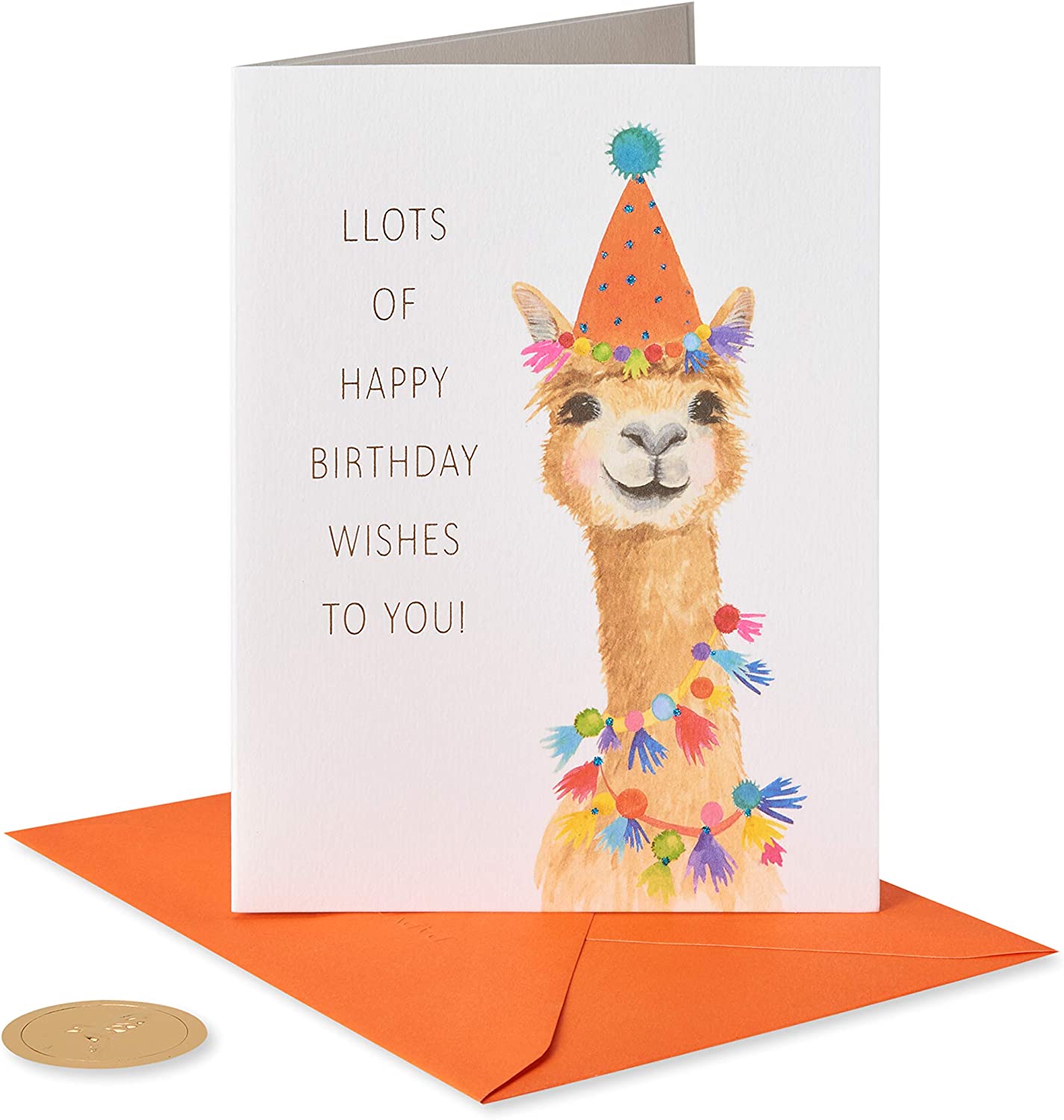 Papyrus Birthday Card for Kids (Have Fun)
