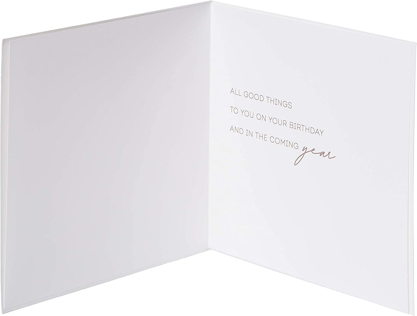 Papyrus Birthday Card (Good Things)