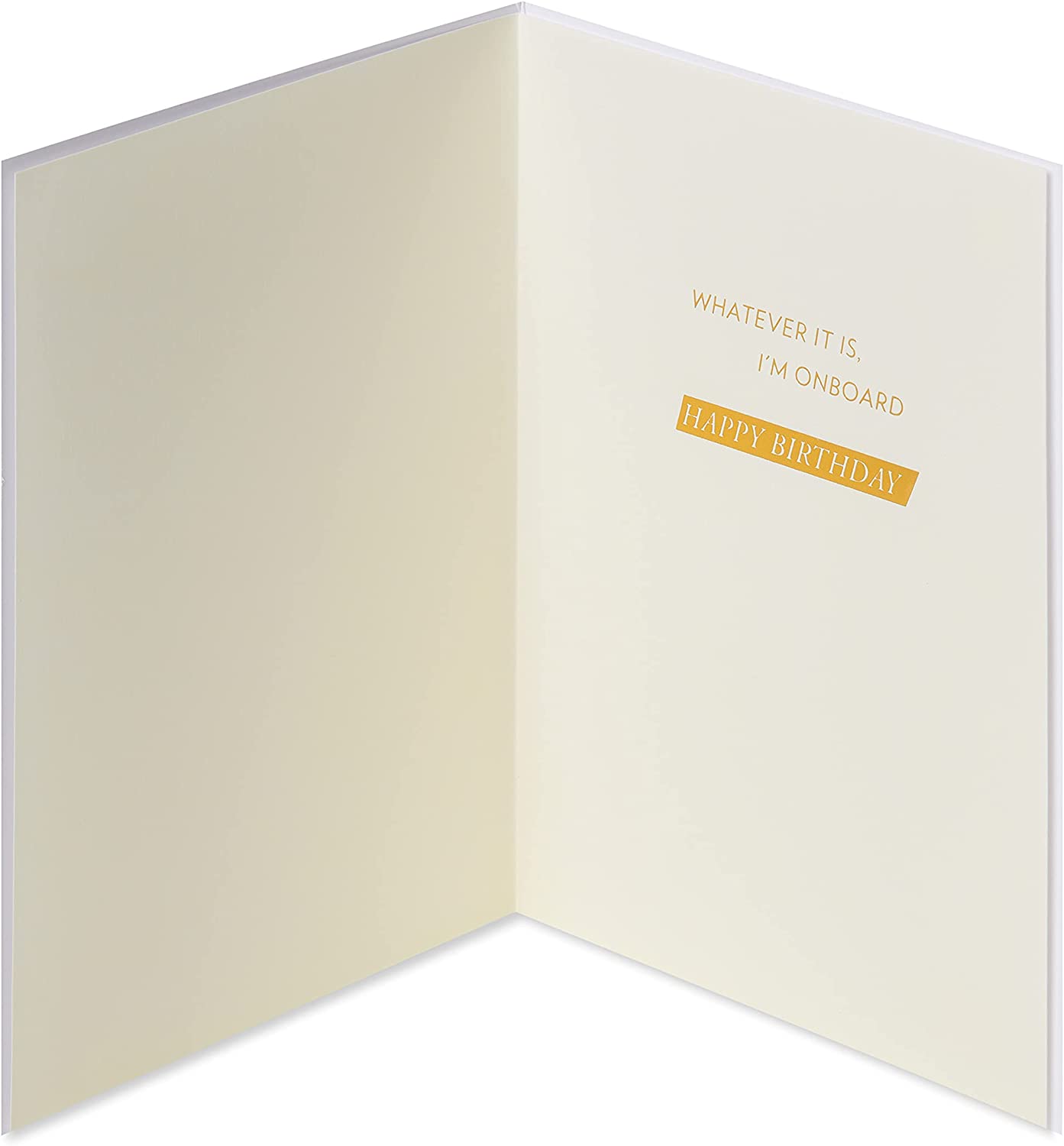 Papyrus Funny Birthday Card (I'm Onboard)