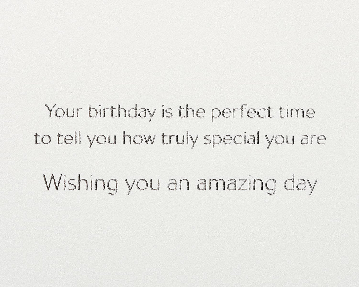 Papyrus Birthday Card (Truly Special)