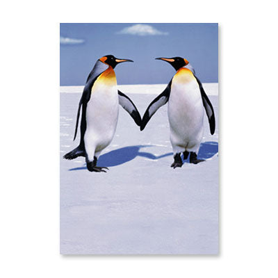 PHOTO PENGUIN COUPLE ANNIVERSARY CARD BY RPG