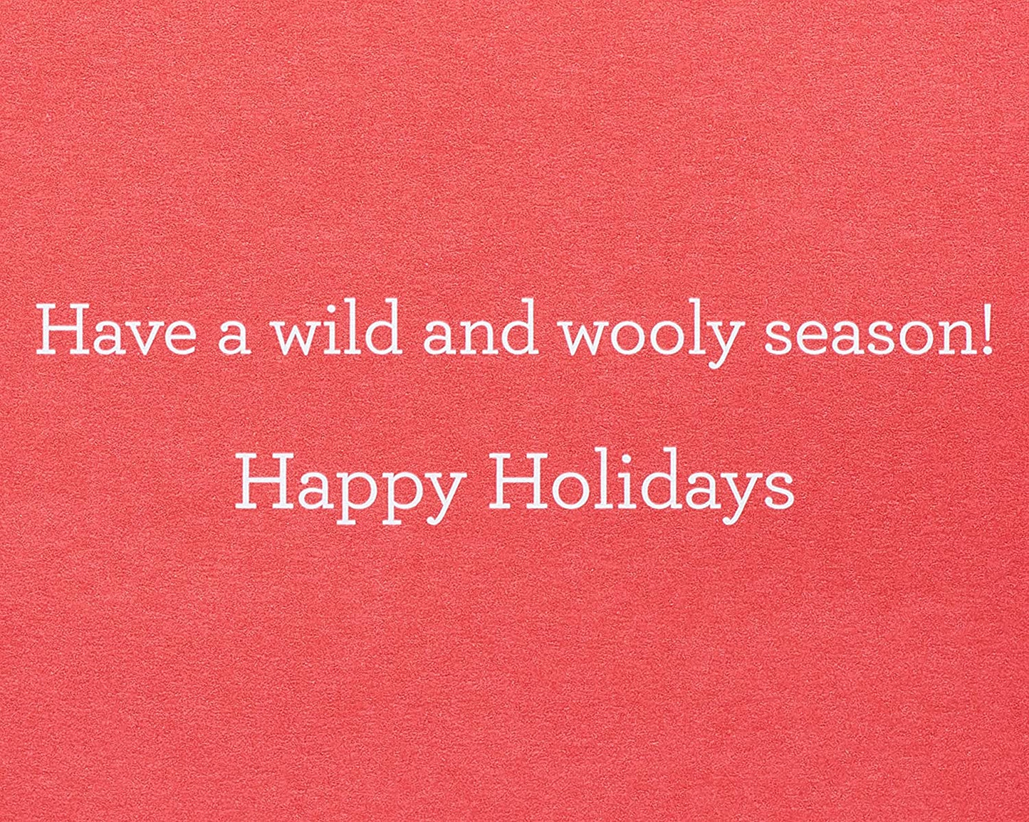 Papyrus Funny Holiday Card (Wild and Wooly Season)