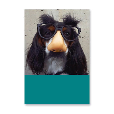 DOG FUNNY GLASSES BIRTHDAY CARD BY RPG
