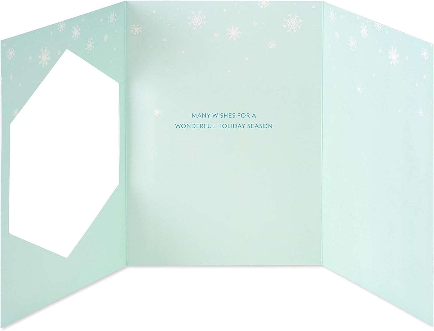 Papyrus Christmas Card (Many Wishes)