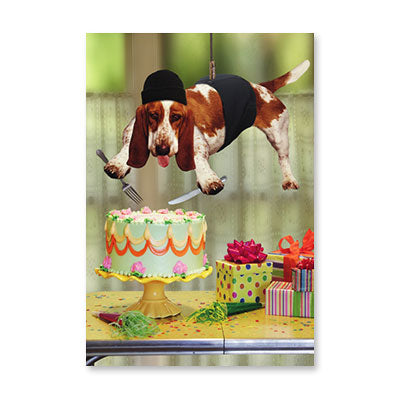 NINJA BASSET HOUND BIRTHDAY CARD BY RPG