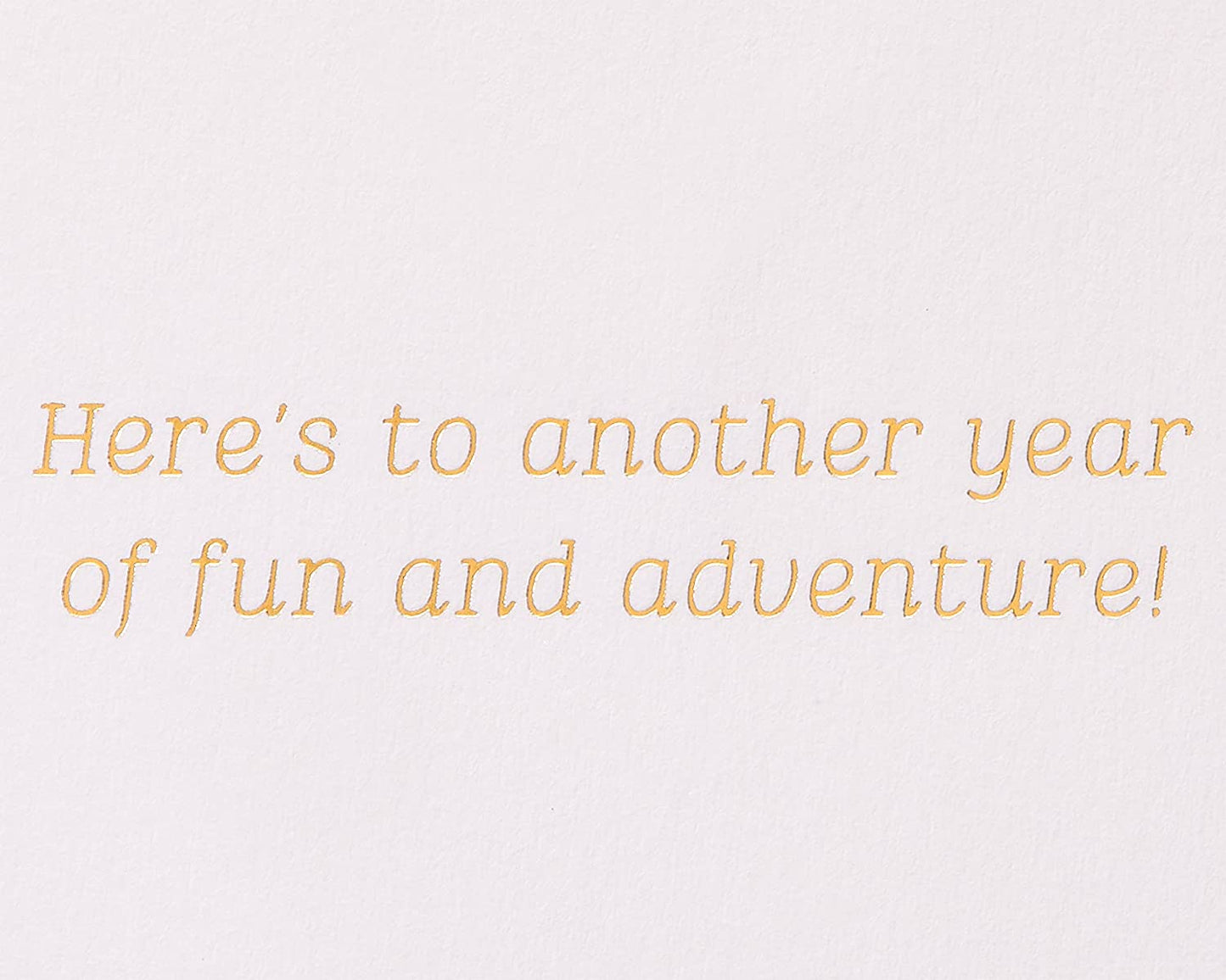 Papyrus Anniversary Card - Designed by House of Turnowsky (Another Year of Fun)