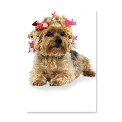 SKIN DEEP BIRTHDAY CARD BY RPG