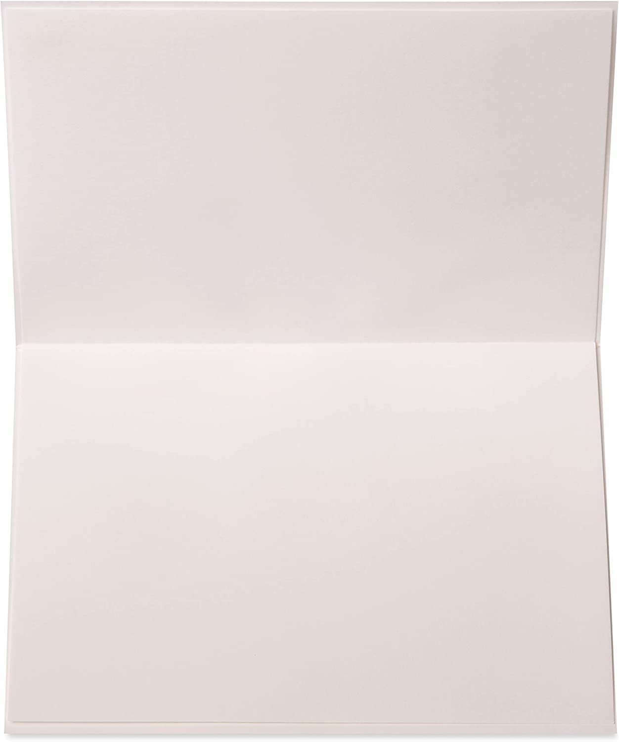 Papyrus Blank Thank You Card (Thank You Feather)