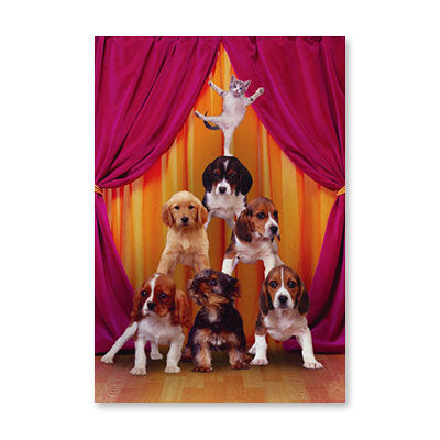 ANIMAL PYRAMID BIRTHDAY CARD BY RPG