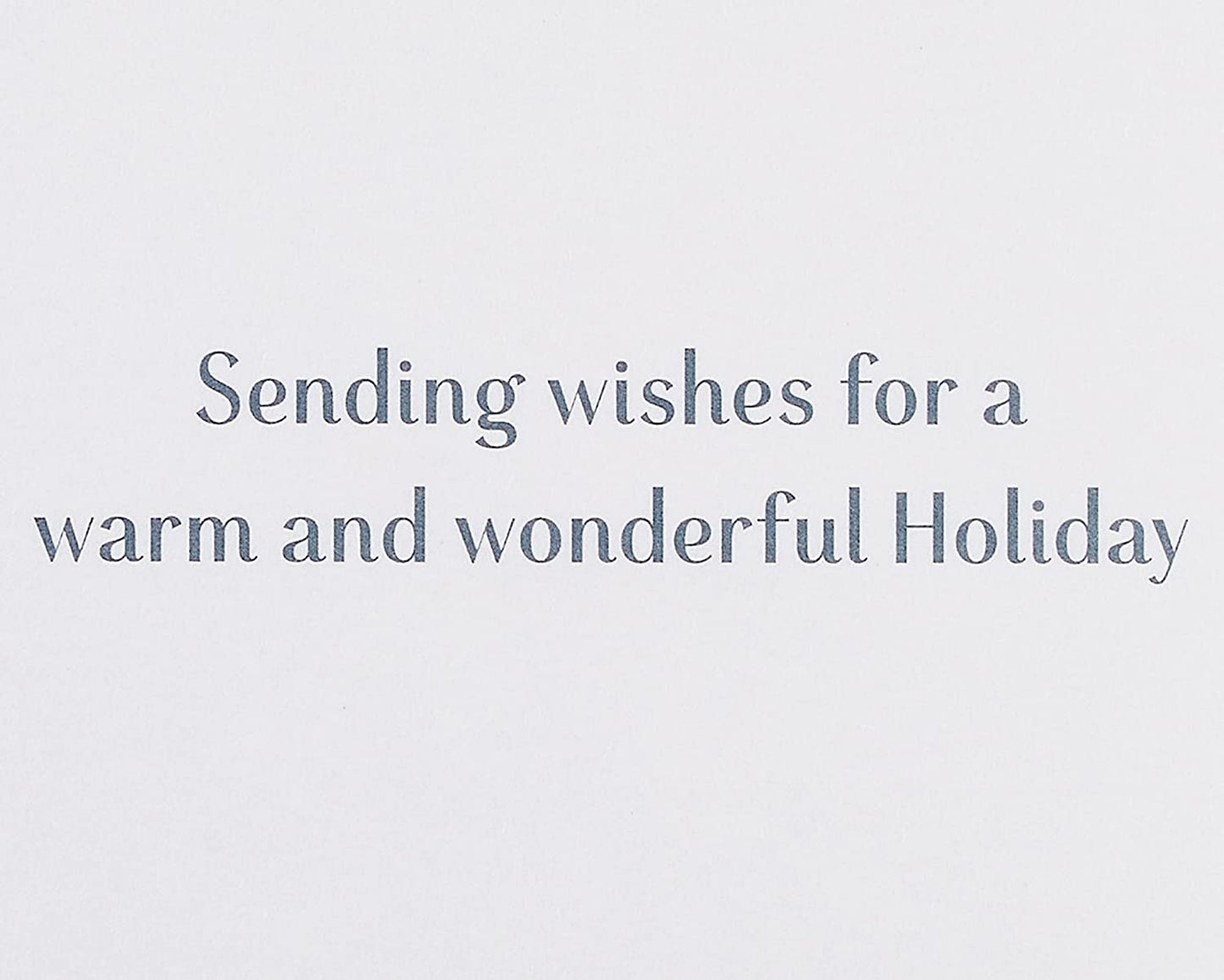 Papyrus Holiday Cards Boxed with Envelopes, Sending Wishes, Snowflakes (16-Count)